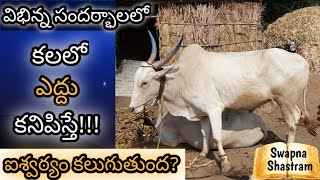 కలలో ఎద్దు కనిపిస్తే  Kalalo Yedhu Kanipiste  Ox Or Bull in Dream Analysis amp Meaning [upl. by Burget]