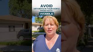 Arthritis from Your Horse Hock Wobble  How to AVOID it horsecare [upl. by Gariepy]