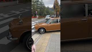 ダットサン 510ブルーバードクーペ1600SSS 京都ヴィンテージカーフェスティバル2024 平安神宮 [upl. by Atinna]