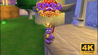 Spyro Enter the Dragonfly  Definitive Edition Mod 4K Intro and Dragon Realms [upl. by Ytisahc]