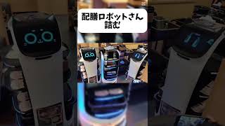 配膳ロボットさん、詰んでしまう。 おもしろ グルメ robot [upl. by Eleanora13]