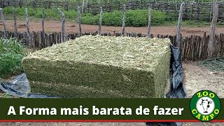 Silagem para pequeno produtor para fazer ao lado do curral [upl. by Anigroeg]