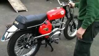 BSA HORNET 1965 [upl. by Oglesby238]