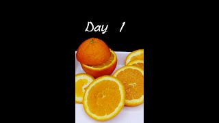 The Rotting Oranges Timelapse Shorts [upl. by Ciredec]