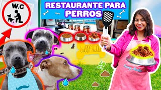 🍔 RESTAURANTE PARA PERROS 👩🏽‍🍳 🐶 Pechuga de Pollo🍗 Filete de Res🥩 y Vino🍷 MENÚ RICO  CONNY MERLIN 💖 [upl. by Yednarb]