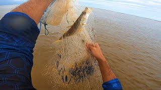 Pesca de Tarrafa na Praia Aventura e Diversão na Beira do Mar [upl. by Natasha350]