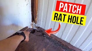 How To Patch a Rat Hole Jonny DIY [upl. by Hourihan]