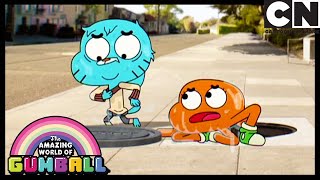 A compreensão  O Incrível Mundo de Gumball  Cartoon Network 🇧🇷 [upl. by Oluap381]