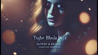 Tujhe Bhula Diya  Slowed amp Reverb  Haunting Memories [upl. by Rafe]