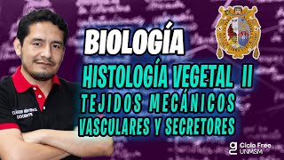 Histología vegetal II 🌿 Ciclo FREE [upl. by Fisa]