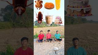 Eating ParleG biscuit Apple Rooster Goose lolipop wow cake chocolate icecream funny 😋VFX [upl. by Jeni]