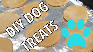 DIY DOG TREATS  PEANUT BUTTER amp BANANA [upl. by Prissy621]