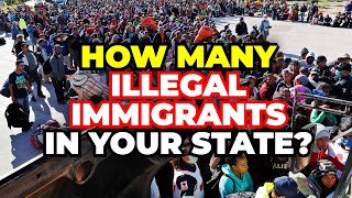 The Number of Illegal Immigrants in Every State in America [upl. by Diskin]