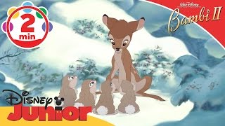 Bambi II  Thumpers Little Sisters  Disney Junior UK [upl. by Nroht]