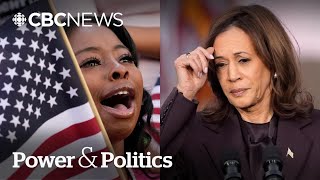 Democrats dissect where Harris presidential campaign went wrong  Power amp Politics [upl. by Charis]