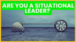 Mastering Situational Leadership The HerseyBlanchard Model [upl. by Pilif234]