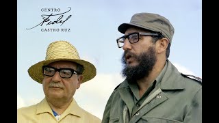 Fidel Castro y Salvador Allende [upl. by Modesty]