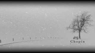 Frédéric Chopin Etude Op25  No 11 in A minor quotWinter Windquot [upl. by Grega]