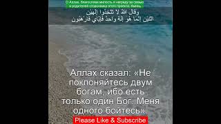 Коран Сура النحل АльНахль  1651  Чтение Корана с русским переводом  Quran Translation [upl. by Sivatco]