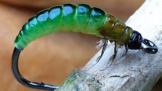 HydropsycheFly Tying Caddis Larva [upl. by Zedecrem33]