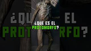 ¿Que es el Protomorfo xenomorph alien [upl. by Lleuqar920]