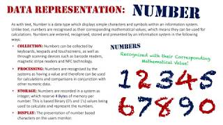 Digital Representation of Data Number [upl. by Biancha]