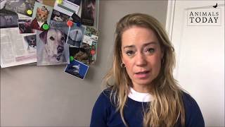 Karens vlog Paardenmarkt Hedel is de druppel [upl. by Udela]