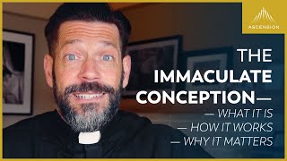 Understanding the Theology of the Immaculate Conception [upl. by Hollingsworth]