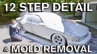 12 Step Detail Mold Removal and PlastiDip Repair for Used Car Sale Impala SS [upl. by Mccourt]