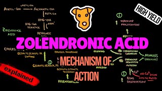 ZOLENDRONIC ACID Mechanism of action and Side effects Multiple Myeloma Treatment [upl. by Nahtnahoj]