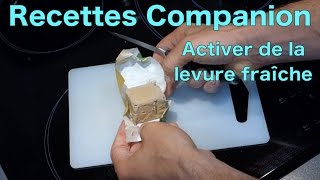 Méthode pour activer de la levure fraiche [upl. by Nitsraek247]