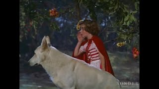 Little Red Riding Hood amp the Monsters  Mexico 1962 English Dubbed  Rated PG  FantasyComedy [upl. by Brenden]