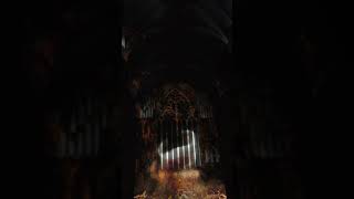 York Minster Phoenix Light Show [upl. by Lilak346]