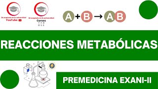 TIPOS DE REACCIONES METABÓLICAS  CLASE 14 DEL CURSO DE PREMEDICINA PARA EXANIII [upl. by Fanni]