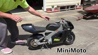 Miniature MOTORCYCLE Polini minimoto top speed [upl. by Seem]