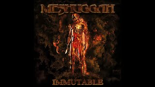 MESHUGGAH  IMMUTABLE 2022 FULL ALBUM HIGHEST QUALITY VINYL RIP [upl. by Aniger77]