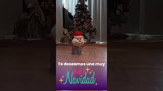 Saludo de Feliz Navidad 2023 🎅 🎄 🎁 [upl. by Ecnar771]