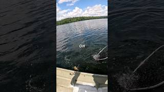 Smallmouth Nearly Jumps in Boat smallmouthbass smallmouthbassfishing perchfishing fishing fish [upl. by Reinaldo178]