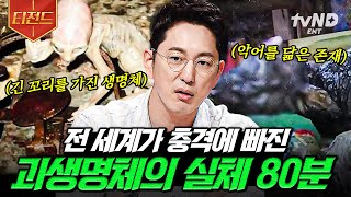 프리한19 80분 대체 정체가 뭐야 몰라 무서워😱 전 세계인을 놀라게 한 괴생명체 미스터리zip  티전드 [upl. by Zora]