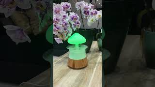 Humidificateur d’air Champignon [upl. by Ssegrub]