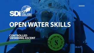 How To Do a Controlled Swimming Ascent while Scuba Diving  SDI Open Water Skills [upl. by Steve]