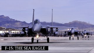 F15 Eagle Mystery Change Behind the Surprising New Appearance [upl. by Joletta]