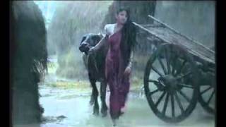 GrameenPhone Tv Commercial  Gp Network Videoflv [upl. by Rebekkah881]