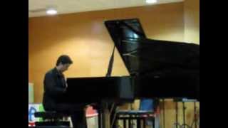 Soneto del petrarca número 47 Franz Liszt [upl. by Lemmor645]