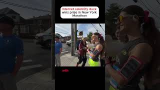 Internet celebrity duck participates in the New York City Marathonanimals pets interesting duck [upl. by Eiramait]