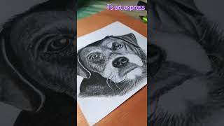 dog realistic drawingtrending sketch trending [upl. by Anilag]