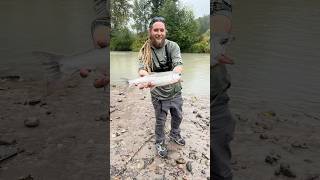 Coho Salmon Fishing Puyallup River silversalmon fish washington fishinglife pacificnorthwest [upl. by Lotty699]