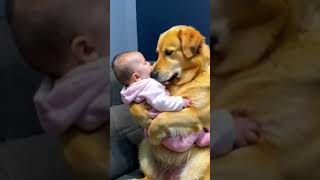 Dog babysits a cute baby 🥰 [upl. by Tdnarb]