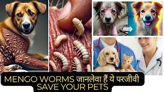 quotडॉग्स को Mango Worm Infestation से बचने के टिप्स और TreatmentquotDog wellness Tipsquot [upl. by Aiekat931]