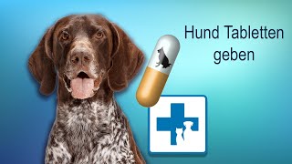 Wie gebe ich dem Hund Tabletten und Medikamente [upl. by Roberson]